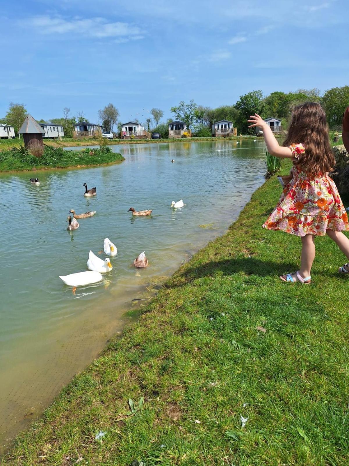 Beautiful 2 Bedroom Caravan, Holiday Park Tenby Saint Florence Extérieur photo